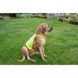 Refleksvest Til Hunde XLarge